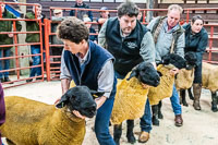 Longtown Ram Fair-34